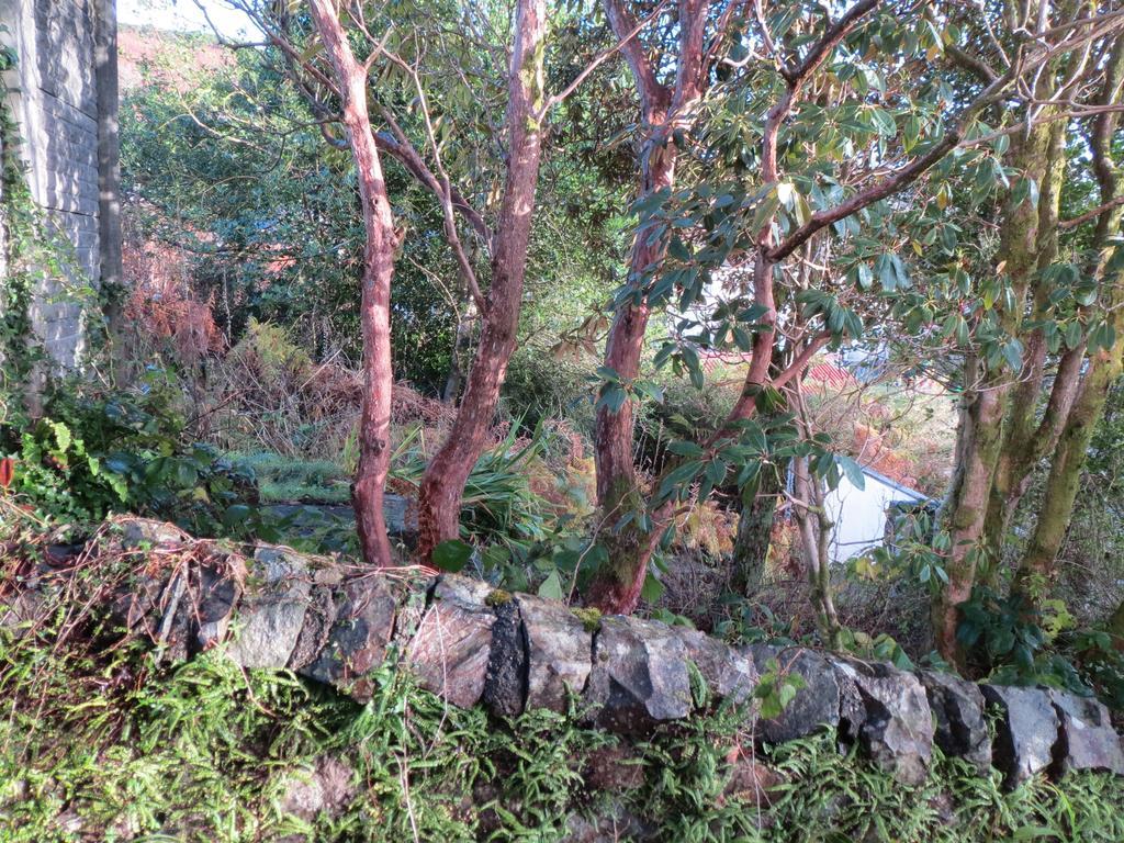 Elmbank Garden Apartment Oban Phòng bức ảnh
